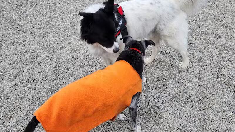 Ponderay Pet Safe Dog Park