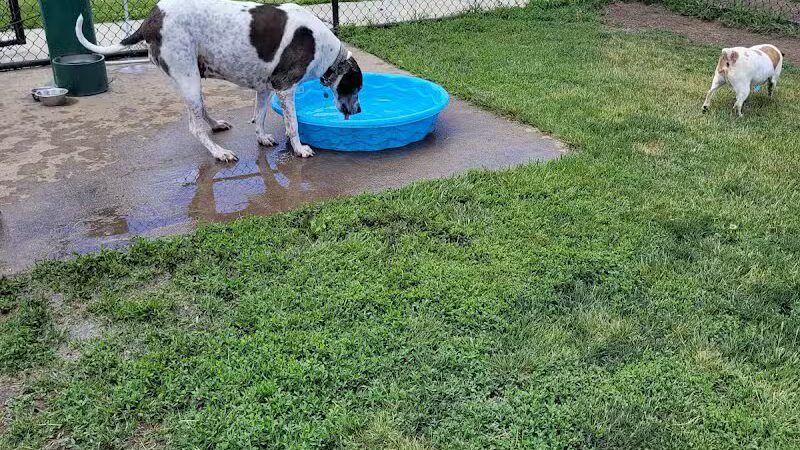 Draco Park - Pontiac, IL