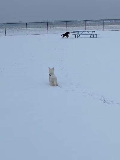 Draco Park - Pontiac, IL