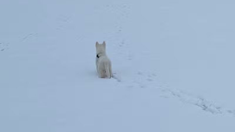 Draco Park - Pontiac, IL