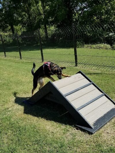 Downtown Dog Park - Poplar Bluff, MO