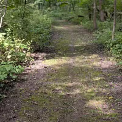 Dorrance Park - Port Byron, IL