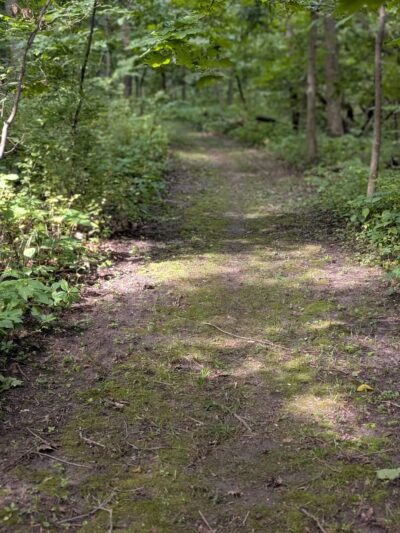 Dorrance Park - Port Byron, IL
