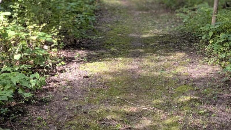 Dorrance Park - Port Byron, IL