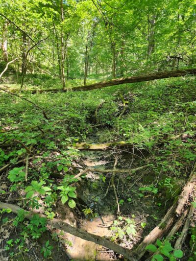 Dorrance Park - Port Byron, IL