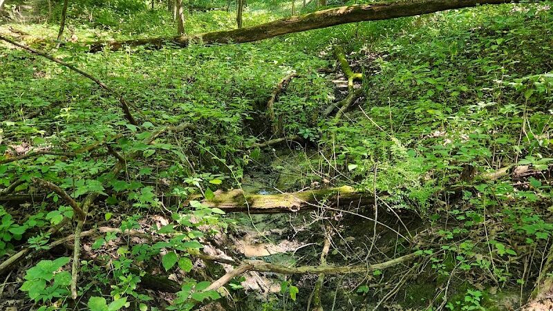 Dorrance Park - Port Byron, IL