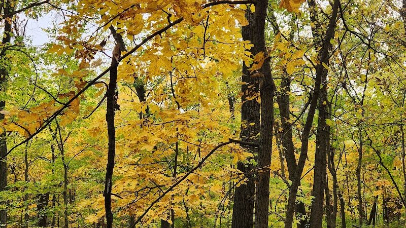 Dorrance Park - Port Byron, IL