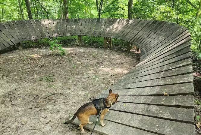 Dorrance Park - Port Byron, IL