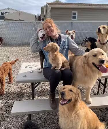 Happy Pawz Playground - Port Byron, IL