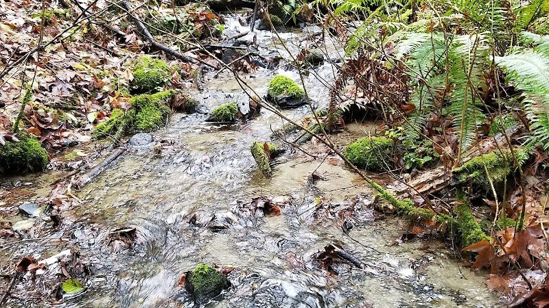 Burley Park - Port Orchard, WA