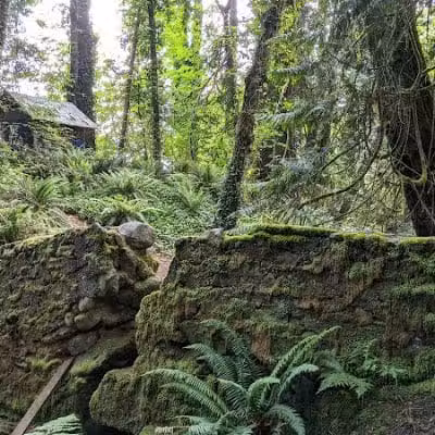Burley Park - Port Orchard, WA