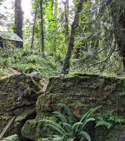 Burley Park - Port Orchard, WA