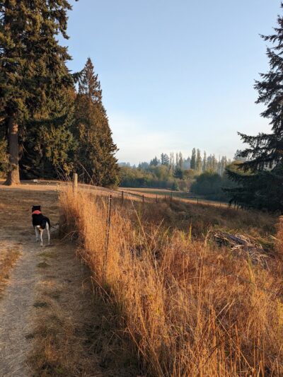Howe Farm County Park - Port Orchard, WA