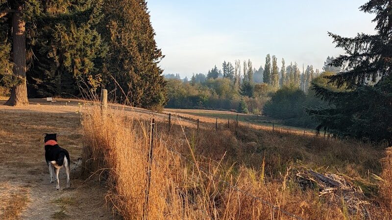 Howe Farm County Park - Port Orchard, WA