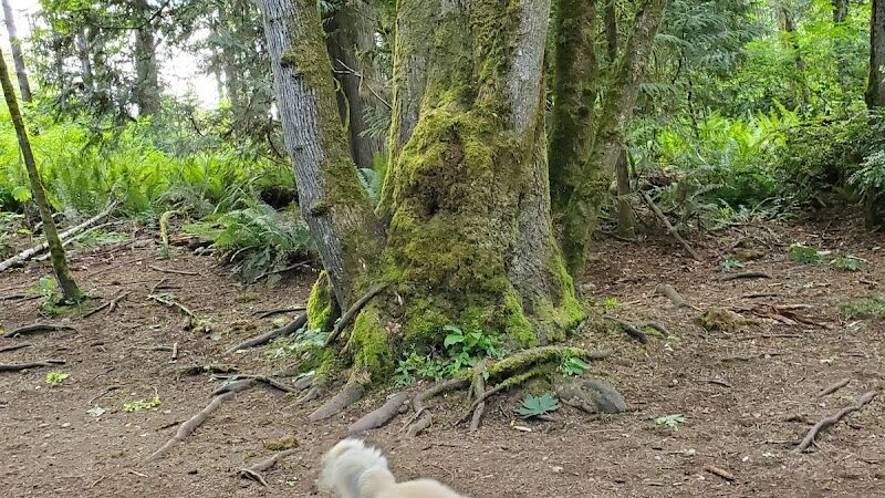 Howe Farm County Park - Port Orchard, WA