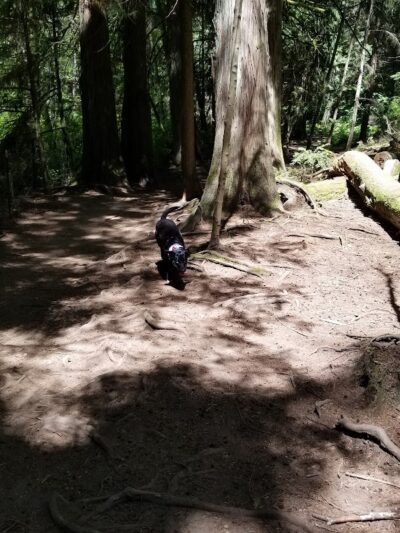 Howe Farm County Park - Port Orchard, WA