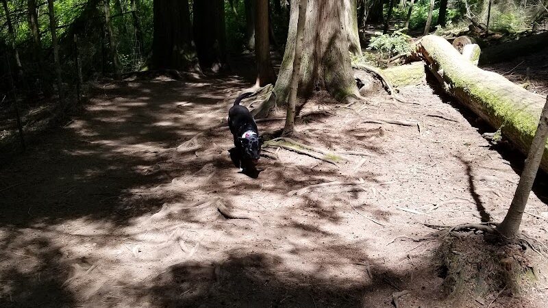 Howe Farm County Park - Port Orchard, WA