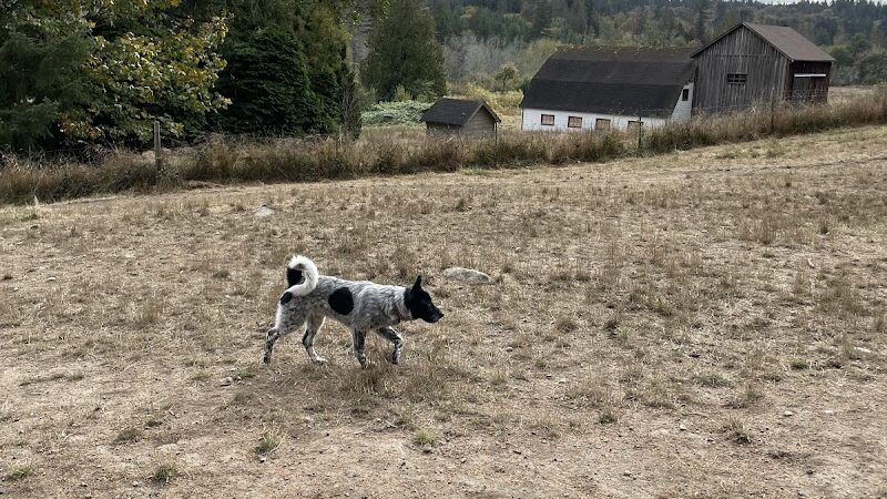 Howe Farm County Park - Port Orchard, WA