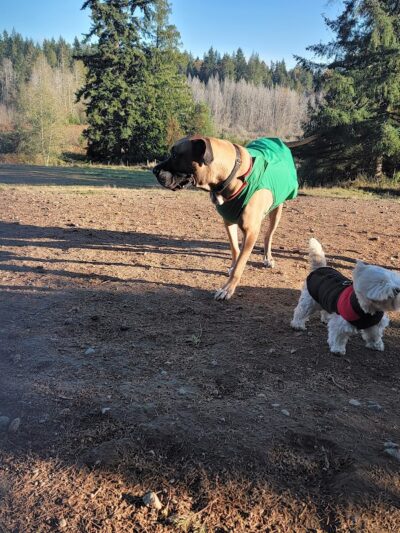 Howe Farm County Park - Port Orchard, WA