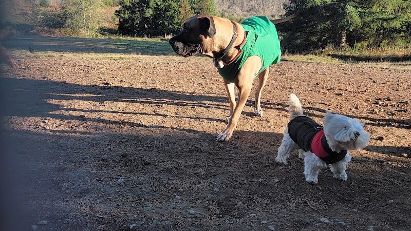 Howe Farm County Park - Port Orchard, WA