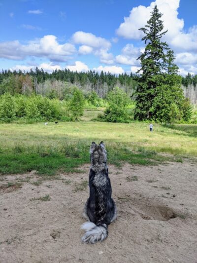 Howe Farm County Park - Port Orchard, WA