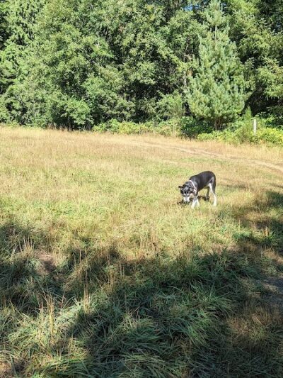 Howe Farm County Park - Port Orchard, WA