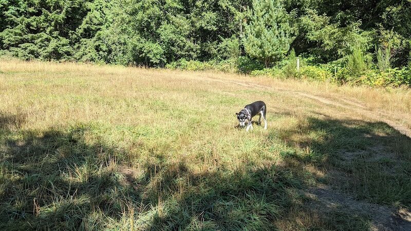 Howe Farm County Park - Port Orchard, WA
