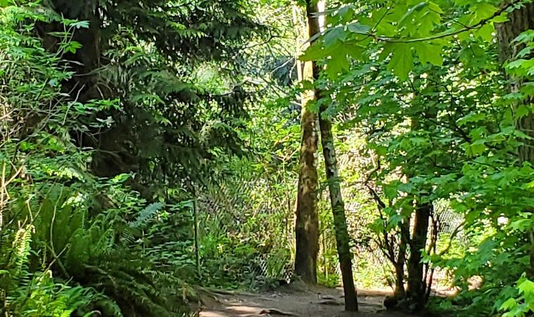 Howe Farm County Park - Port Orchard, WA