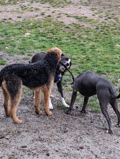 Howe Farm County Park - Port Orchard, WA