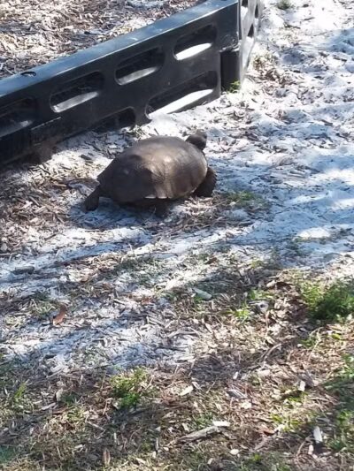 Fred Cook Park - Port St. Lucie, FL