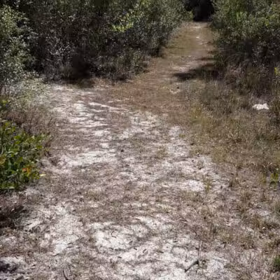 Fred Cook Park - Port St. Lucie, FL