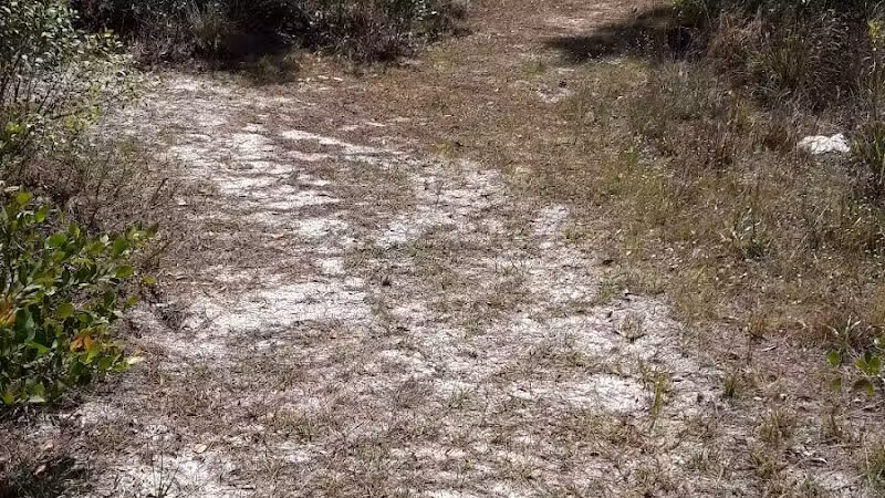 Fred Cook Park - Port St. Lucie, FL