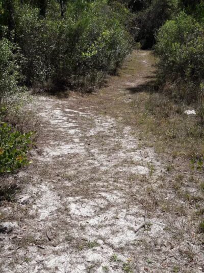 Fred Cook Park - Port St. Lucie, FL