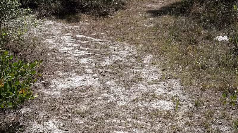 Fred Cook Park - Port St. Lucie, FL