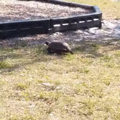 Fred Cook Park - Port St. Lucie, FL