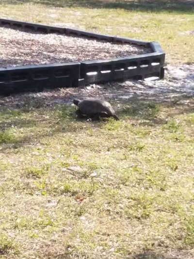 Fred Cook Park - Port St. Lucie, FL