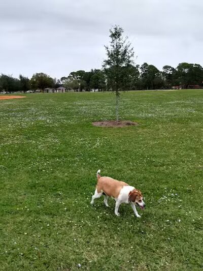 Girl Scout Friendship Park - Port St. Lucie, FL