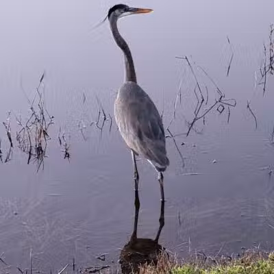 Kiwanis Park - Port St. Lucie, FL