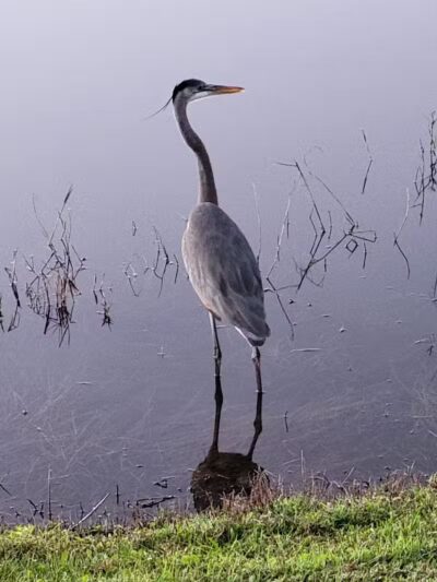 Kiwanis Park - Port St. Lucie, FL