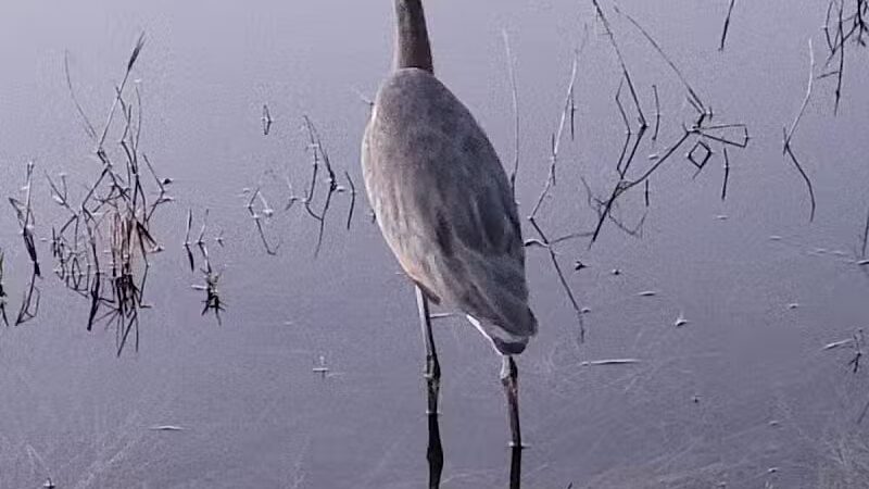 Kiwanis Park - Port St. Lucie, FL