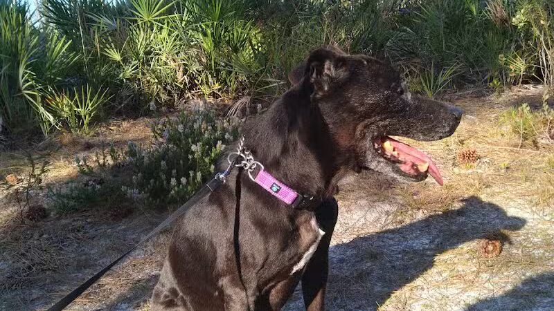 Lyngate Park - Port St. Lucie, FL