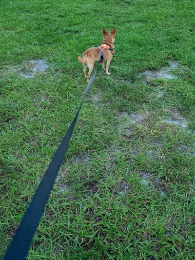 Lyngate Park - Port St. Lucie, FL