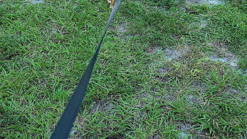 Lyngate Park - Port St. Lucie, FL