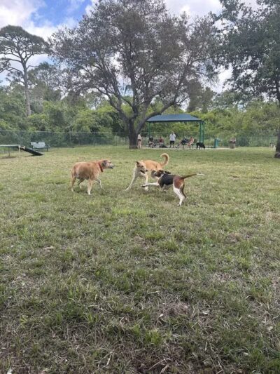 Lyngate Park - Port St. Lucie, FL