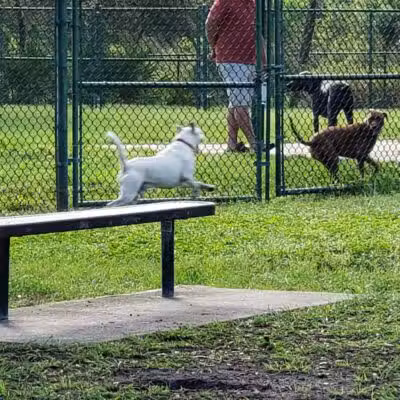 Lyngate Park - Port St. Lucie, FL