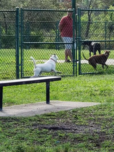 Lyngate Park - Port St. Lucie, FL