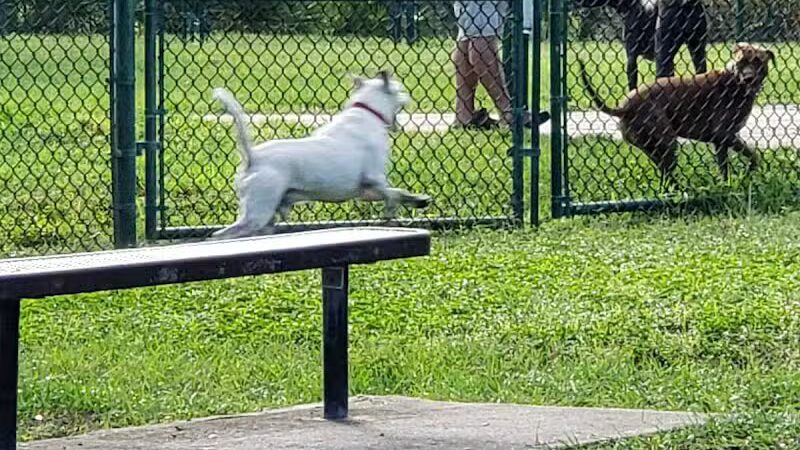 Lyngate Park - Port St. Lucie, FL