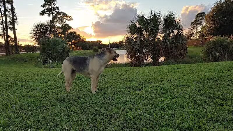 McChesney Dog Park - Port St. Lucie, FL