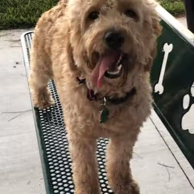 McChesney Dog Park - Port St. Lucie, FL