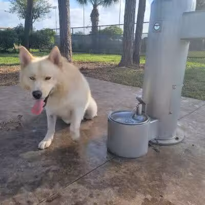 McChesney Dog Park - Port St. Lucie, FL